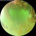 ./images/calvert/underwater/20260816/underwater20260816_105501M.jpg