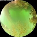 ./images/calvert/underwater/20260816/underwater20260816_110002M.jpg