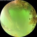 ./images/calvert/underwater/20260816/underwater20260816_110501M.jpg
