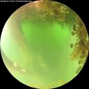 ./images/calvert/underwater/20260816/underwater20260816_111501M.jpg