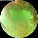 ./images/calvert/underwater/20260816/underwater20260816_112002M.jpg