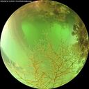 ./images/calvert/underwater/20260816/underwater20260816_112501M.jpg