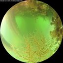 ./images/calvert/underwater/20260816/underwater20260816_113001M.jpg