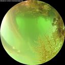 ./images/calvert/underwater/20260816/underwater20260816_113501M.jpg