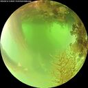 ./images/calvert/underwater/20260816/underwater20260816_114001M.jpg