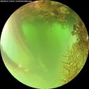 ./images/calvert/underwater/20260816/underwater20260816_114501M.jpg