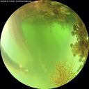 ./images/calvert/underwater/20260816/underwater20260816_115002M.jpg