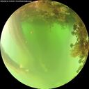 ./images/calvert/underwater/20260816/underwater20260816_115501M.jpg