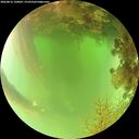 ./images/calvert/underwater/20260816/underwater20260816_120002M.jpg