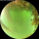 ./images/calvert/underwater/20260816/underwater20260816_120501M.jpg