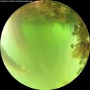 ./images/calvert/underwater/20260816/underwater20260816_121002M.jpg