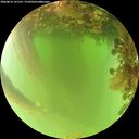 ./images/calvert/underwater/20260816/underwater20260816_121501M.jpg