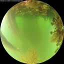 ./images/calvert/underwater/20260816/underwater20260816_122002M.jpg