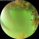 ./images/calvert/underwater/20260816/underwater20260816_122501M.jpg