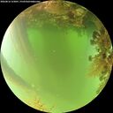 ./images/calvert/underwater/20260816/underwater20260816_123001M.jpg
