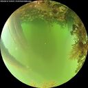 ./images/calvert/underwater/20260816/underwater20260816_124501M.jpg