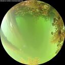./images/calvert/underwater/20260816/underwater20260816_125002M.jpg