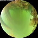 ./images/calvert/underwater/20260816/underwater20260816_130501M.jpg