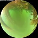 ./images/calvert/underwater/20260816/underwater20260816_131501M.jpg
