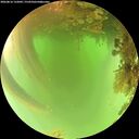 ./images/calvert/underwater/20260816/underwater20260816_132001M.jpg