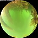 ./images/calvert/underwater/20260816/underwater20260816_132501M.jpg