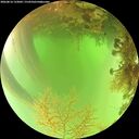 ./images/calvert/underwater/20260816/underwater20260816_133002M.jpg