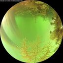 ./images/calvert/underwater/20260816/underwater20260816_134001M.jpg