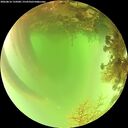 ./images/calvert/underwater/20260816/underwater20260816_135001M.jpg