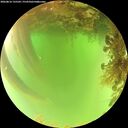 ./images/calvert/underwater/20260816/underwater20260816_135502M.jpg