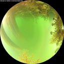 ./images/calvert/underwater/20260816/underwater20260816_140002M.jpg
