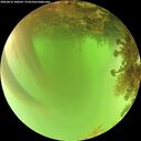 ./images/calvert/underwater/20260816/underwater20260816_140501M.jpg