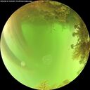 ./images/calvert/underwater/20260816/underwater20260816_141001M.jpg
