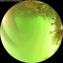 ./images/calvert/underwater/20260816/underwater20260816_141501M.jpg