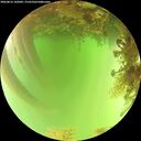 ./images/calvert/underwater/20260816/underwater20260816_142001M.jpg