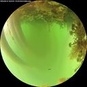 ./images/calvert/underwater/20260816/underwater20260816_142501M.jpg