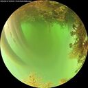 ./images/calvert/underwater/20260816/underwater20260816_143501M.jpg
