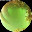 ./images/calvert/underwater/20260816/underwater20260816_144001M.jpg