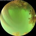 ./images/calvert/underwater/20260816/underwater20260816_144502M.jpg