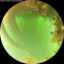 ./images/calvert/underwater/20260816/underwater20260816_145001M.jpg