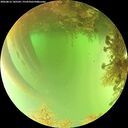 ./images/calvert/underwater/20260816/underwater20260816_145501M.jpg