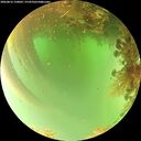 ./images/calvert/underwater/20260816/underwater20260816_150001M.jpg
