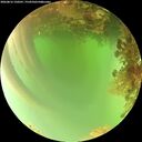./images/calvert/underwater/20260816/underwater20260816_150501M.jpg