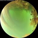 ./images/calvert/underwater/20260816/underwater20260816_151501M.jpg