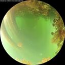 ./images/calvert/underwater/20260816/underwater20260816_152002M.jpg