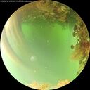 ./images/calvert/underwater/20260816/underwater20260816_152502M.jpg