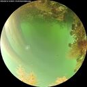 ./images/calvert/underwater/20260816/underwater20260816_153001M.jpg