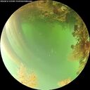 ./images/calvert/underwater/20260816/underwater20260816_153501M.jpg