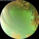 ./images/calvert/underwater/20260816/underwater20260816_154002M.jpg