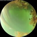 ./images/calvert/underwater/20260816/underwater20260816_154501M.jpg