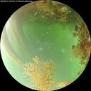./images/calvert/underwater/20260816/underwater20260816_155001M.jpg